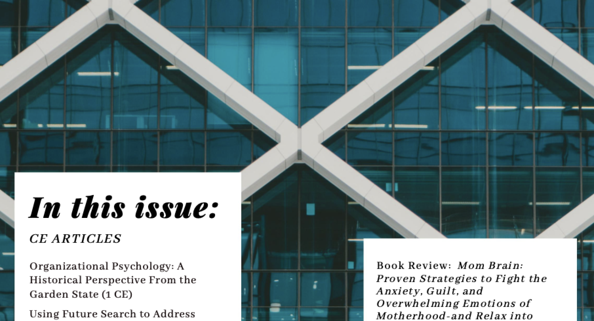 Using Future Search To Address Wicked Systemic Problems